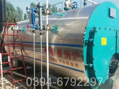 生物质颗粒燃料锅炉