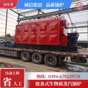 WNS20-1.25-QY三回程蒸汽锅炉开云官方注册-开云中国
