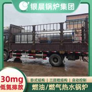 WNS0.7-1.0-QY节能蒸汽锅炉河南银晨锅炉