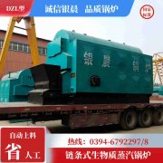 0.2吨冷凝蒸汽锅炉开云官方注册-开云中国
