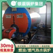 沼气热水锅炉