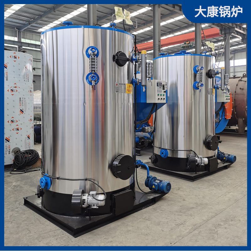 立式生物质蒸汽锅炉1