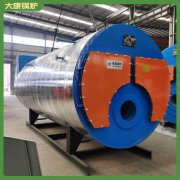 广东240kw低氮真空锅炉